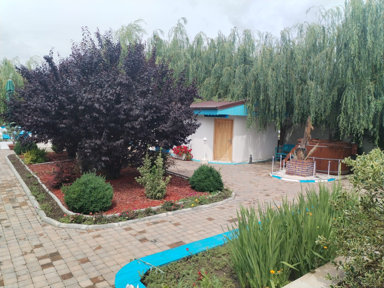 PHOTO-2024-06-14-11-22-46